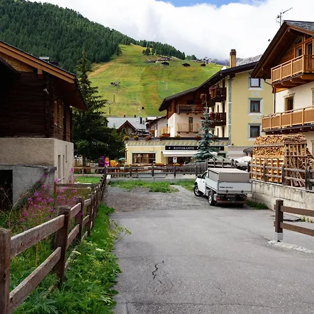 Irene Livigno